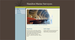 Desktop Screenshot of hmshouston.com